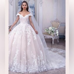 Odette Wedding Dress from the Platinum by Demetrios
